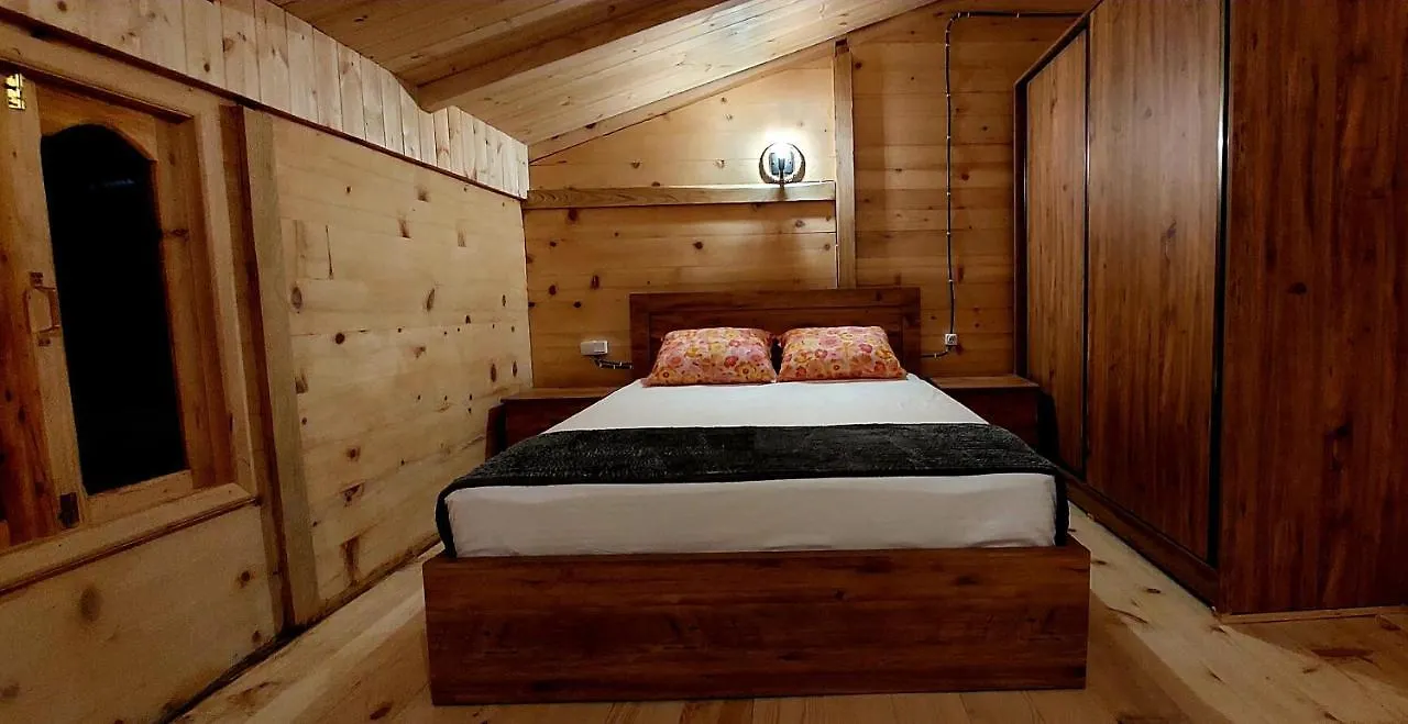 Wooden House Garetke Villa Batumi